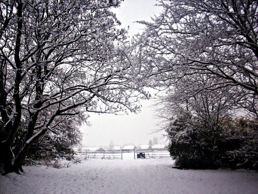 Snow Days 2010 @ Doncaster
