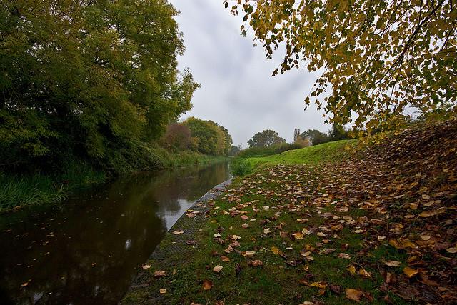 Under Charleton Bridge - 1