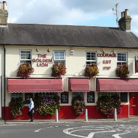 The Golden Lion, Aldershot, Hampshire - Mike Cattell