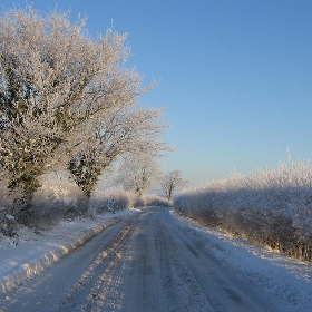 White House Lane is white! - CheapTents.com