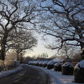 White House Lane - +++d+++