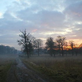 P1010260 - Haversack