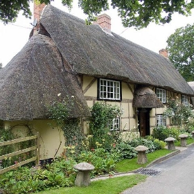 Thatched cottage in Wherwell - Charles D P Miller