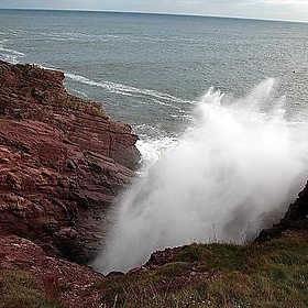 Falaises d'Arbroath - Chuck Nhorus