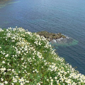 Clifftop - Nick Bramhall