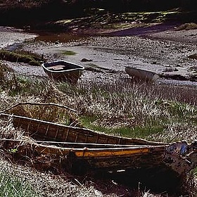 Fremington Creek - me'nthedogs