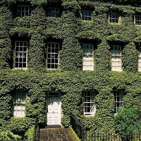 Bath 19-7-2005 - Martin Pettitt