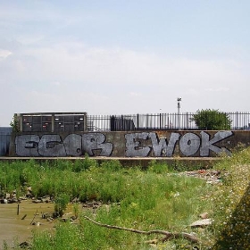 EWOK - Ewan-M