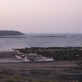 St Mary's Lighthouse 23-10-2007 18-06-40 - Glen Bowman