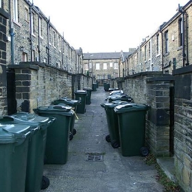 Wheelie Bins - Dave Hamster