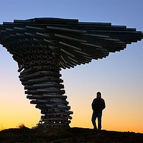 Singing Ringing Tree - calydelphoto