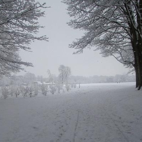 Bute Park, Cardiff - joncandy