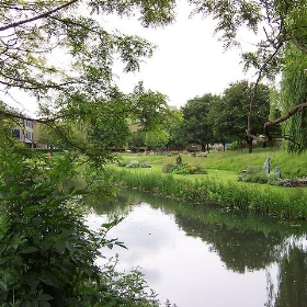 River at Bell Meadow & Sky Blue Pasture, Chelmsford, Essex - Loz Flowers