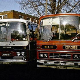 Colchester Osbornes Ford Elite PNO684K Wells Ford Dominant PBM829M - Beechwood Photography