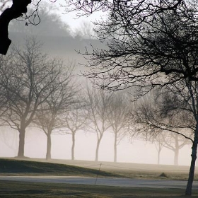 mist the green - carnagevisors