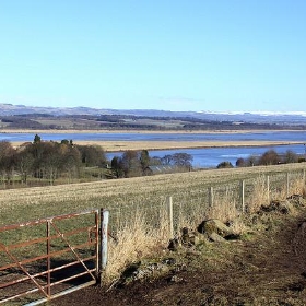 Miles to Dundee - Andy Hawkins
