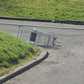 Trolley 6- napping in the sun - loumurphy