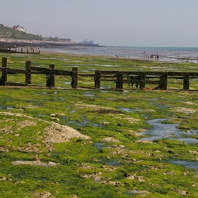 Eastbourne beach - debs-eye