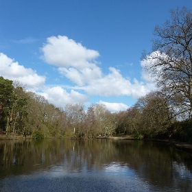 Hiltingbury Lakes, Chandler's Ford, Hampshire - Martoneofmany