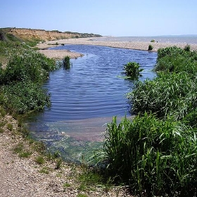 Tide slack on coast south of Fareham - Margaret Anne Clarke