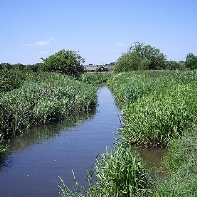 Stream by Titchfield Haven - Margaret Anne Clarke