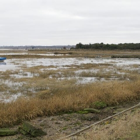 Marshy inlet, Sharp's Green Bay - shirokazan