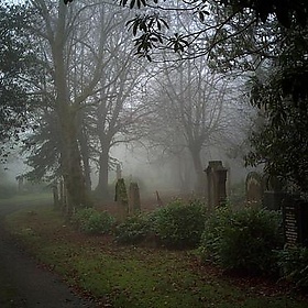 Greenock Cemetery - Strength