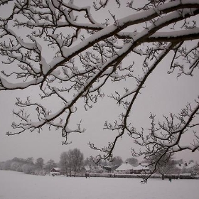 Snowy Guildford - m0dlx