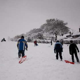 Snowy Guildford - m0dlx