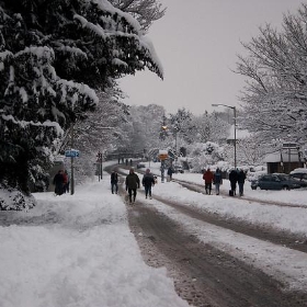 Snowy Guildford - m0dlx