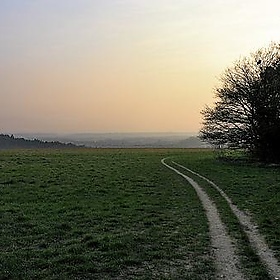 Guildford Downs - danchitnis