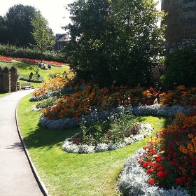 Guildford - Charlotte Gilhooly