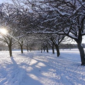 Harrogate Stray - dodsport