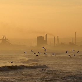 Seaton Carew - Delmonti