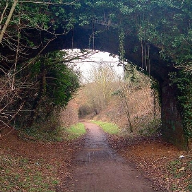 Arch to arch - TheLizardQueen