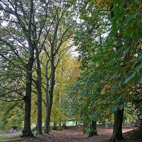 Cliffe Castle Gardens 4 - Tim Green aka atoach