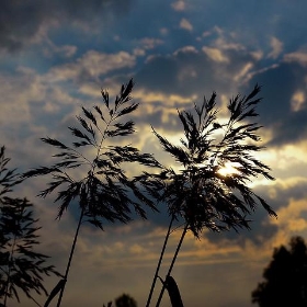 Evening light - estoril