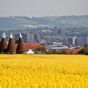 Maidstone from oilseed field - llamnudds