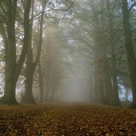 The Avenue, Shotover Estate, Oxford - net_efekt