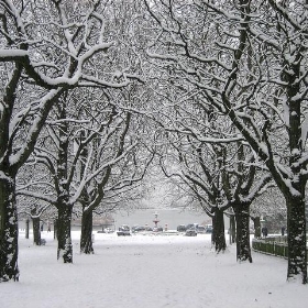 Poole Park in the snow - slideshow bob