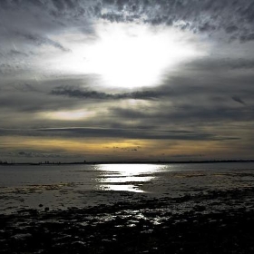 Portsmouth Harbour - me'nthedogs