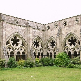 Cloisters, Salisbury Cathedral - stevecadman