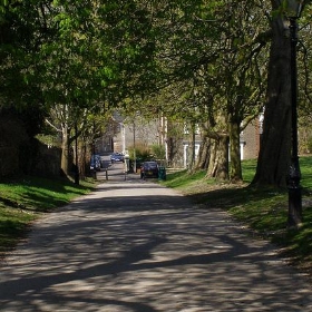 The Walks, Salisbury Fields - treehouse1977