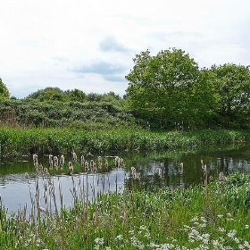 Selby Canal 1 - Tim Green aka atoach