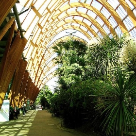 Sheffield Winter Garden - SteveR-