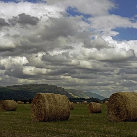 HEAVENLY HARVEST - kenny barker