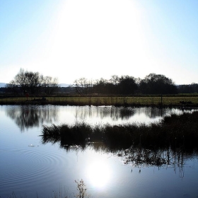 Taunton Pond - Tom Barber Photography