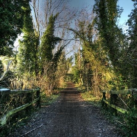 Ebury way cycle path - Bob McCaffrey