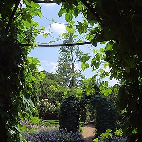 The Arbour, Elgood's Brewery Garden, Wisbech. - Jim Linwood