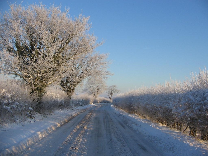 White House Lane is white!